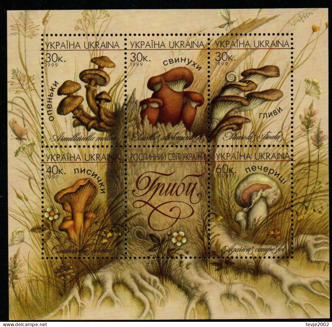 Ukraine 1999 - Mi.Nr. Block18 - Postfrisch MNH - Pilze Mushrooms - Mushrooms