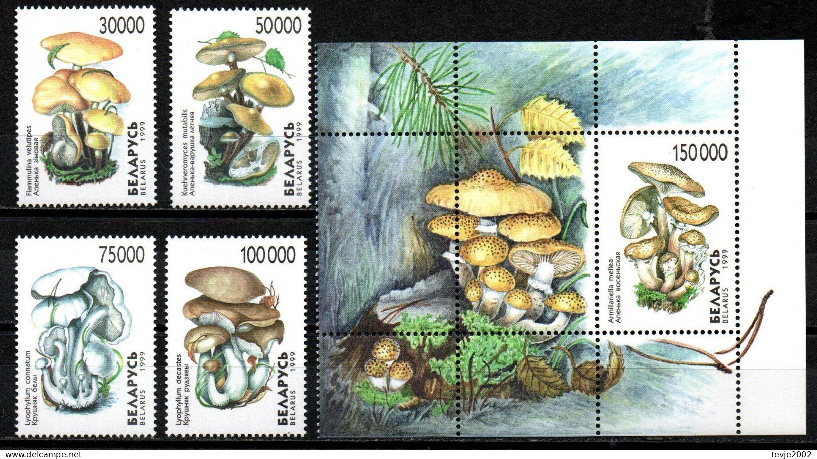 Weißrussland Belarus 1999 - Mi.Nr. 330 - 333 + Block17 - Postfrisch MNH - Pilze Mushrooms - Mushrooms