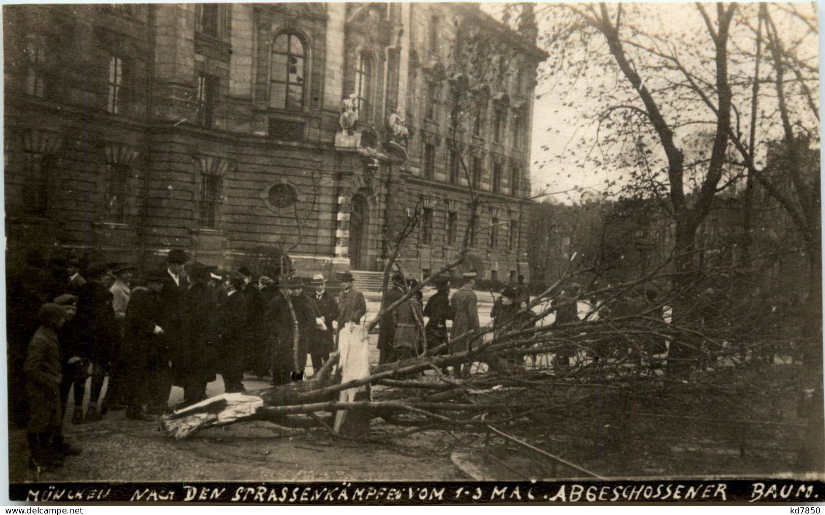 München - Strassenkämpfe 1-3 Mai 1919 - Abgeschossener Baum - Muenchen