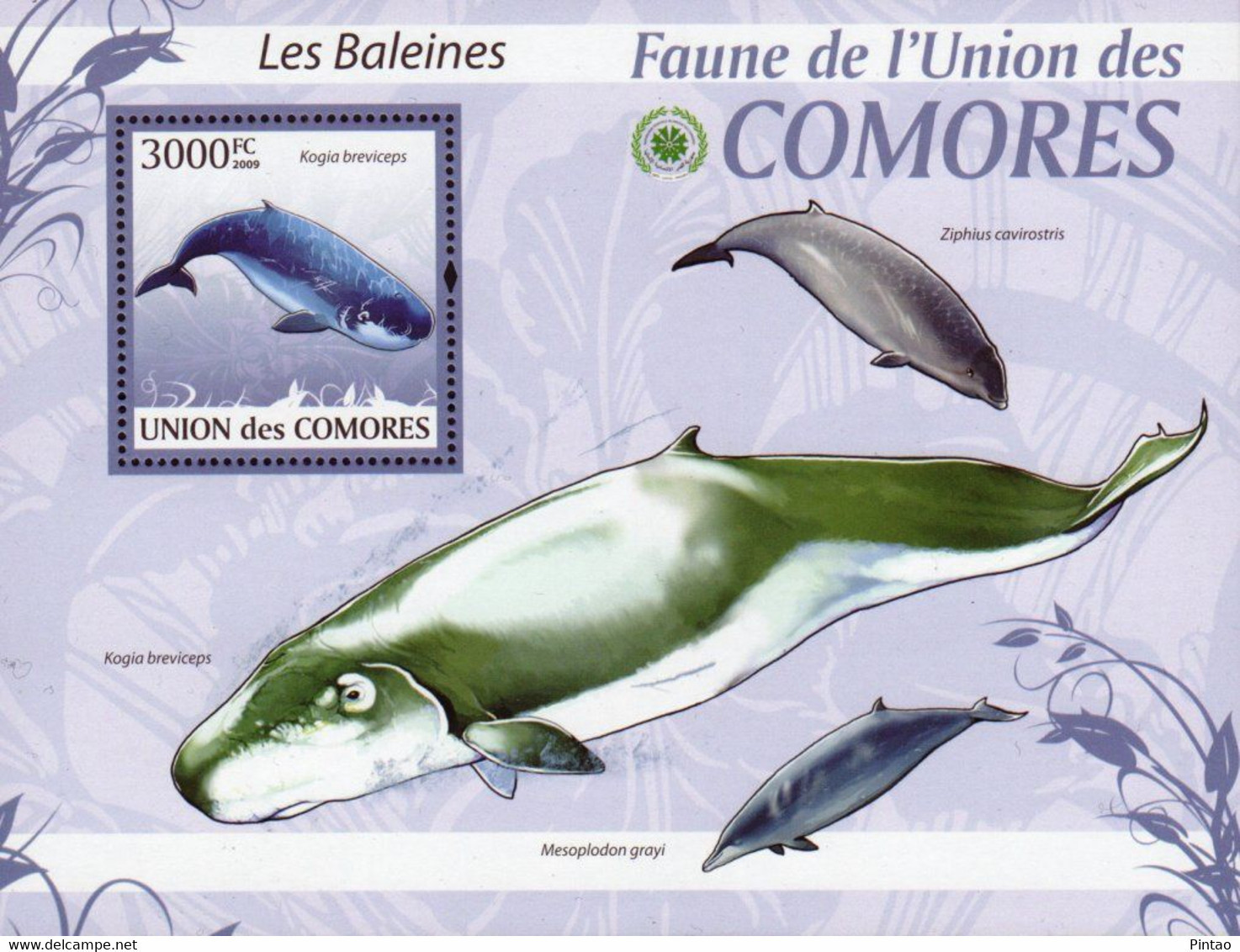 Comores 2009 -  Fauna Marinha - MNH_  FAU029 - Whales