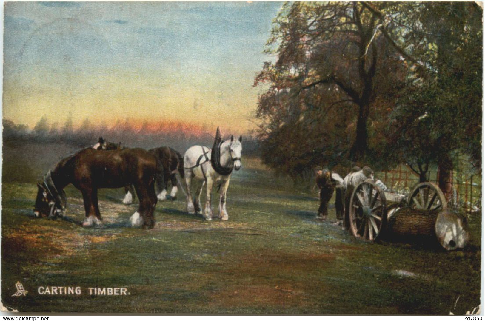 Carting Timber - Pferde - Chevaux