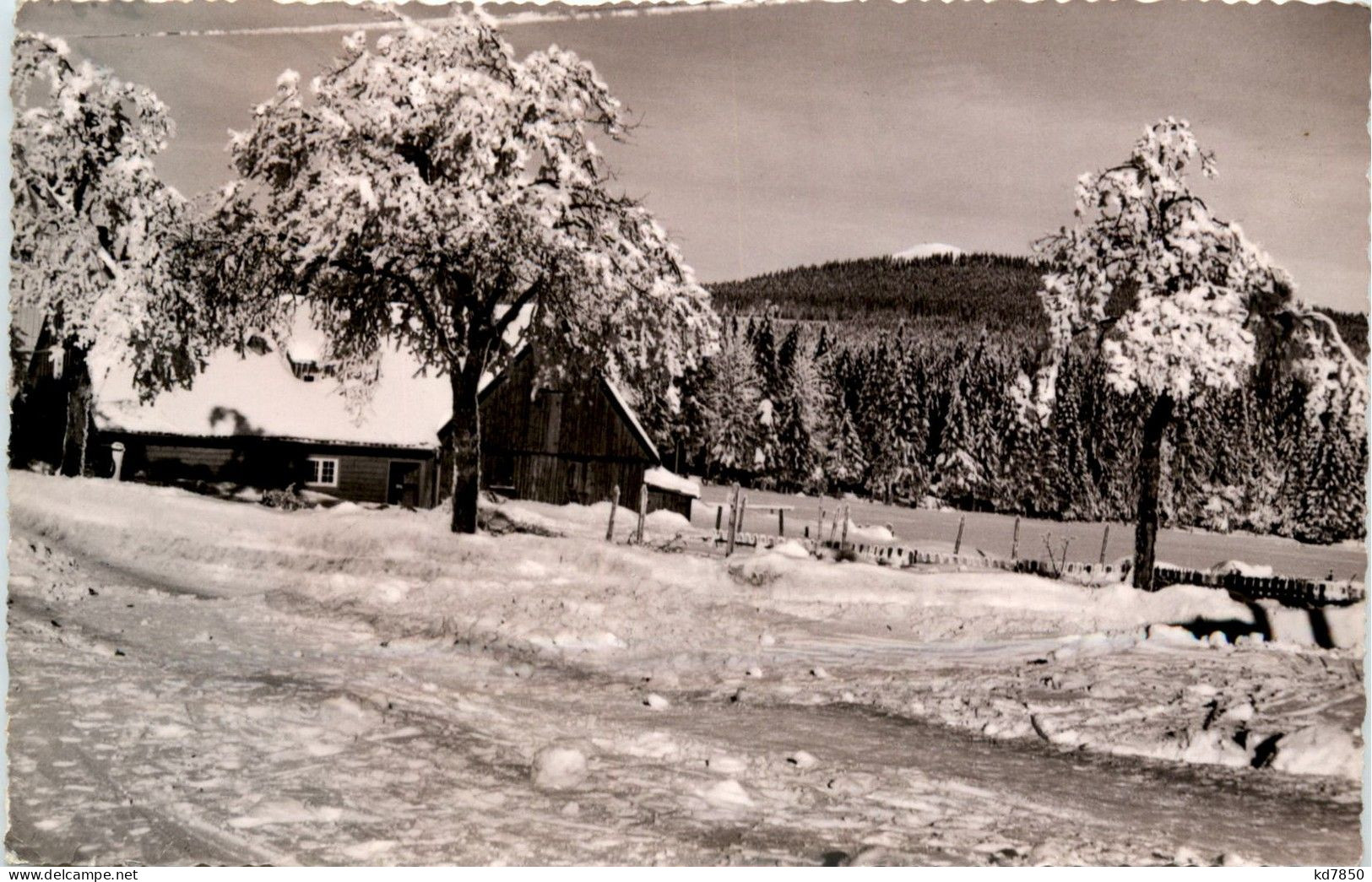 Königskrug Bei Braunlage - Braunlage