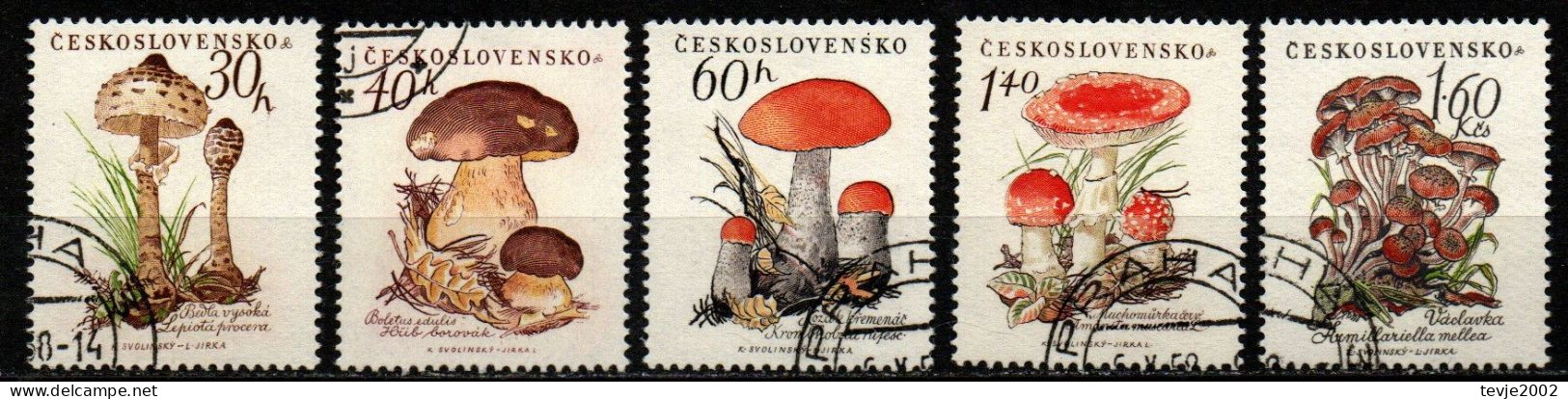 Tschechoslowakei CSSR 1958 - Mi.Nr. 1101 - 1105 - Gestempelt Used - Pilze Mushrooms - Mushrooms