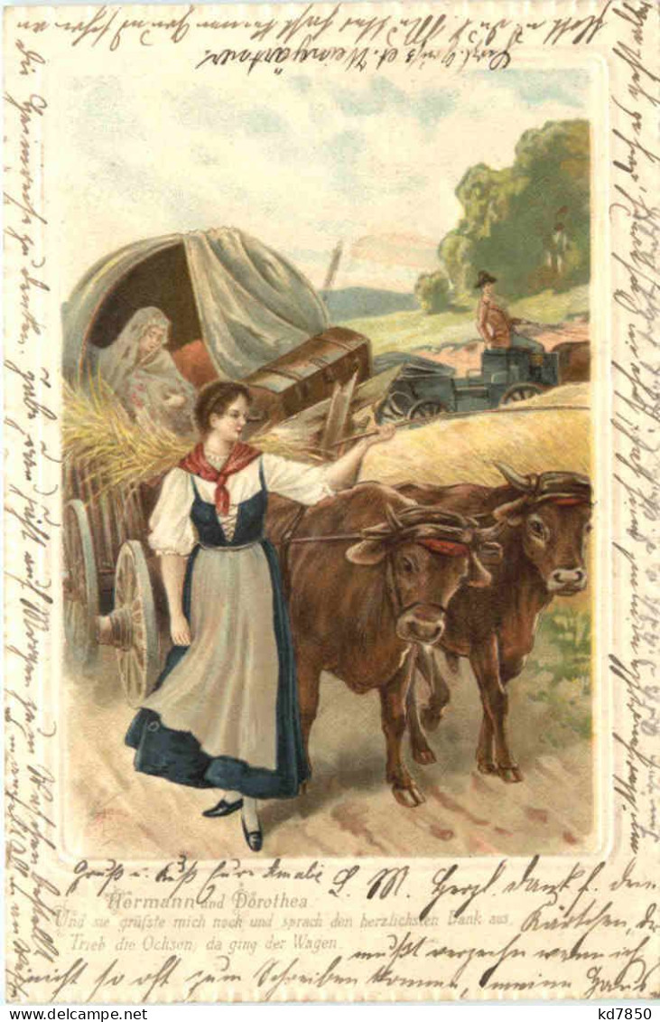 Kühe - Hermann Und Dorothea - Vaches