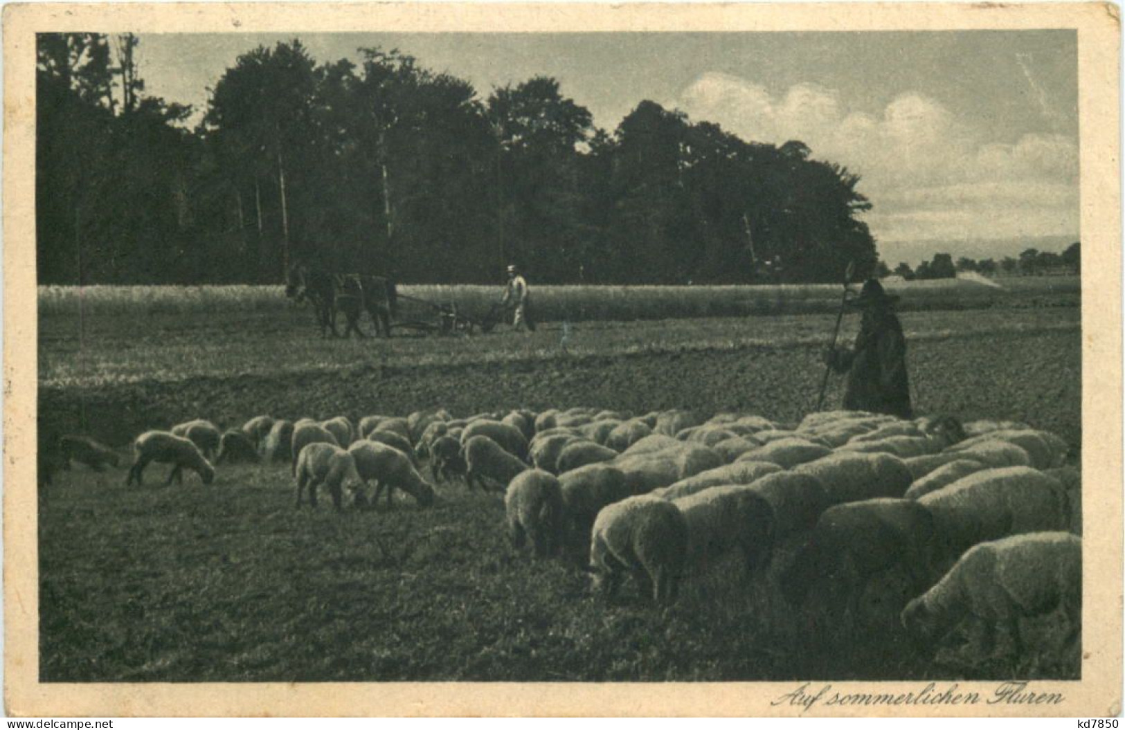 Schäfer - Bahnpost Hagen - Dieringhausen - Other & Unclassified