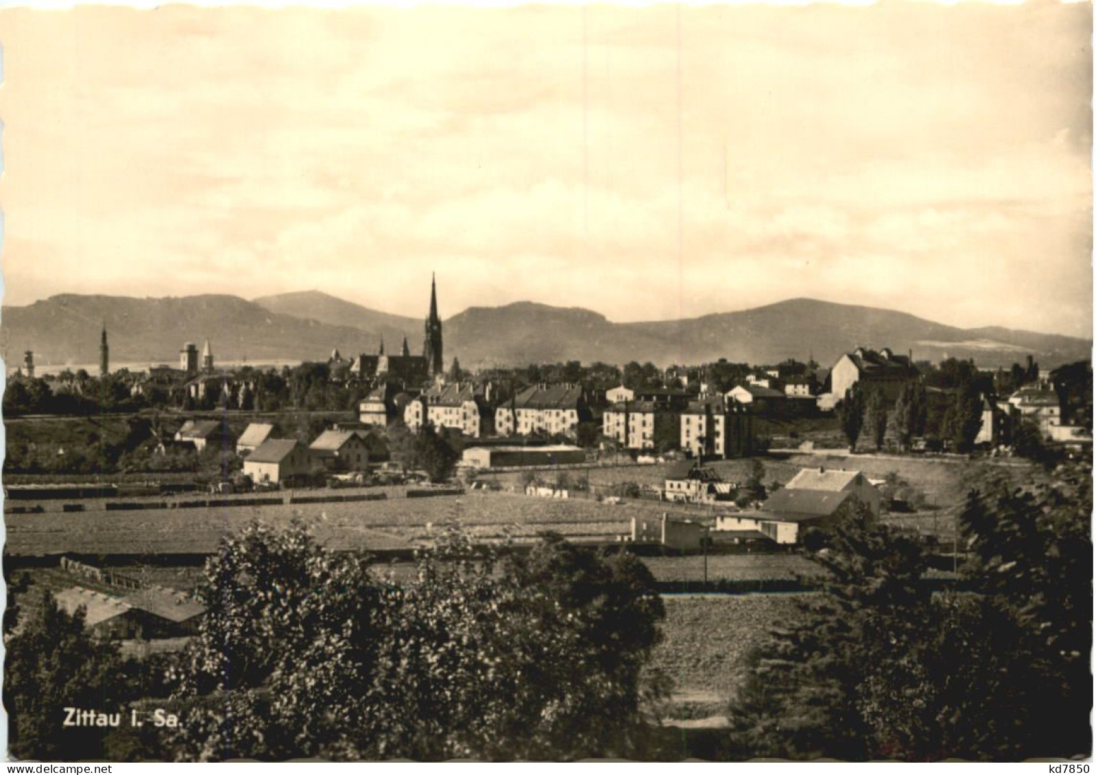 Zittau In Sachsen - Zittau