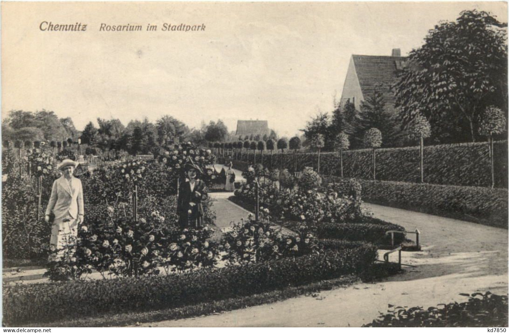 Chemnitz - Rosarium Im Stadtpark - Chemnitz