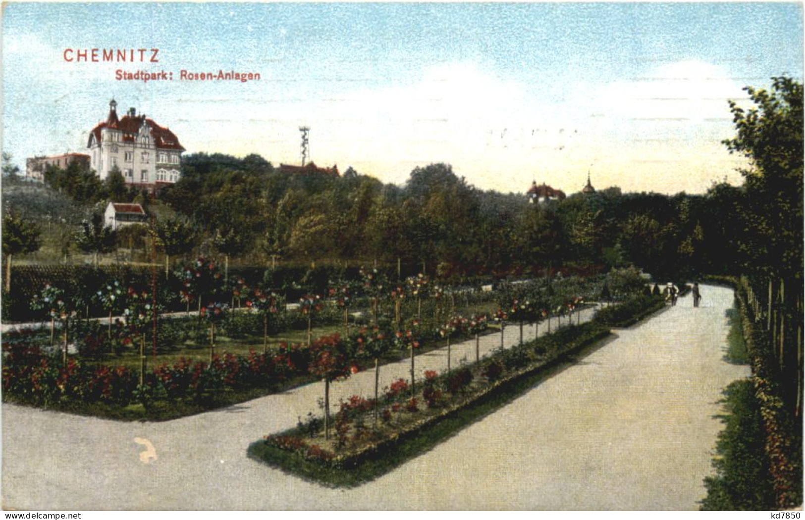 Chemnitz - Stadtpark - Rosen Anlagen - Chemnitz