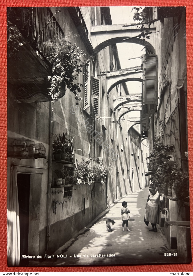 Cartolina - Riviera Dei Fiori - Noli ( Savona ) - Una Via Caratteristica - 1954 - Savona