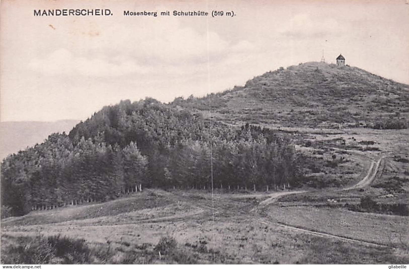 MANDERSCHEID - Mosenberg Mit Schutzhutte - Manderscheid