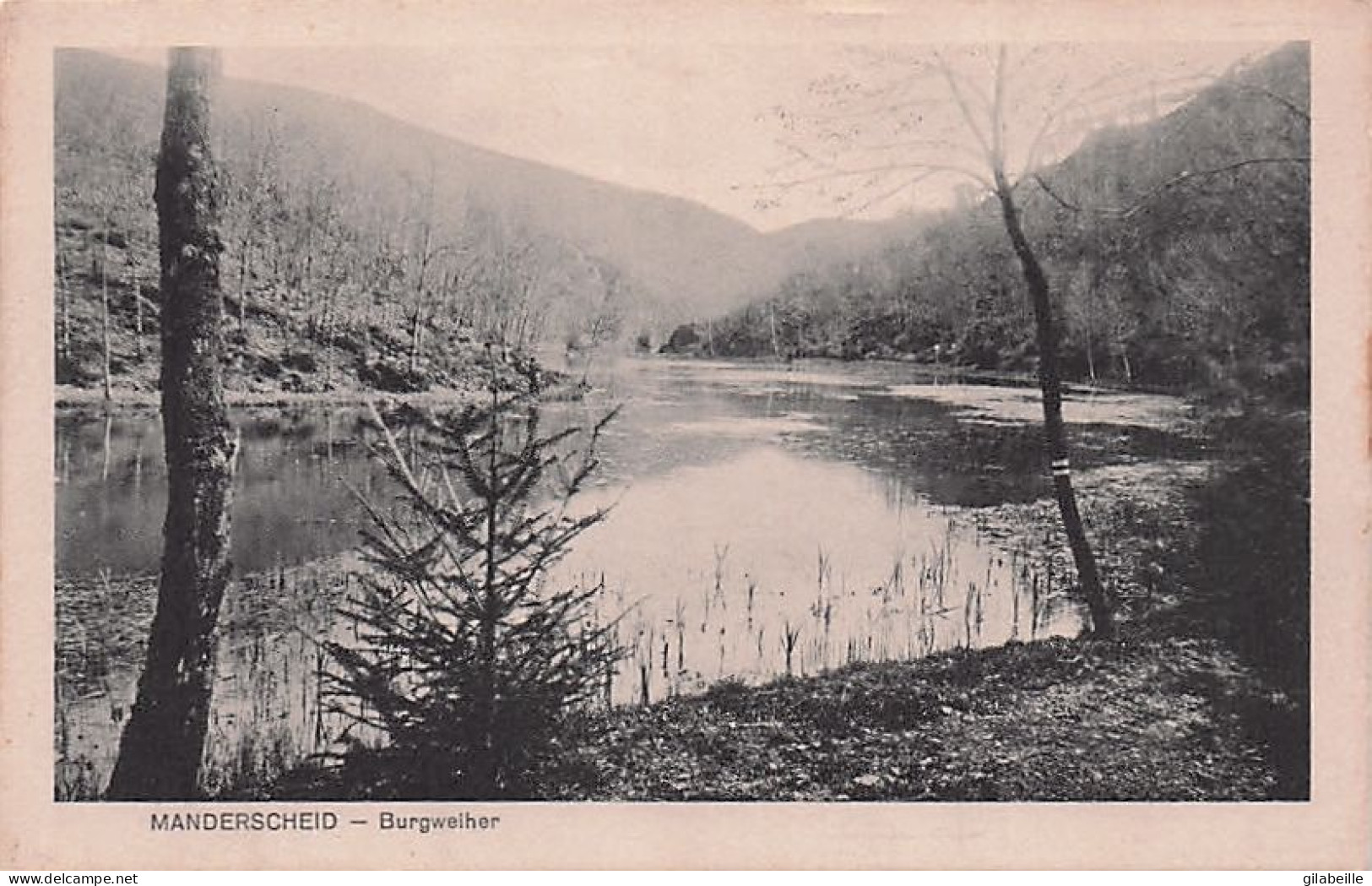 MANDERSCHEID ( Eifel  ) - Burgwelher - Manderscheid