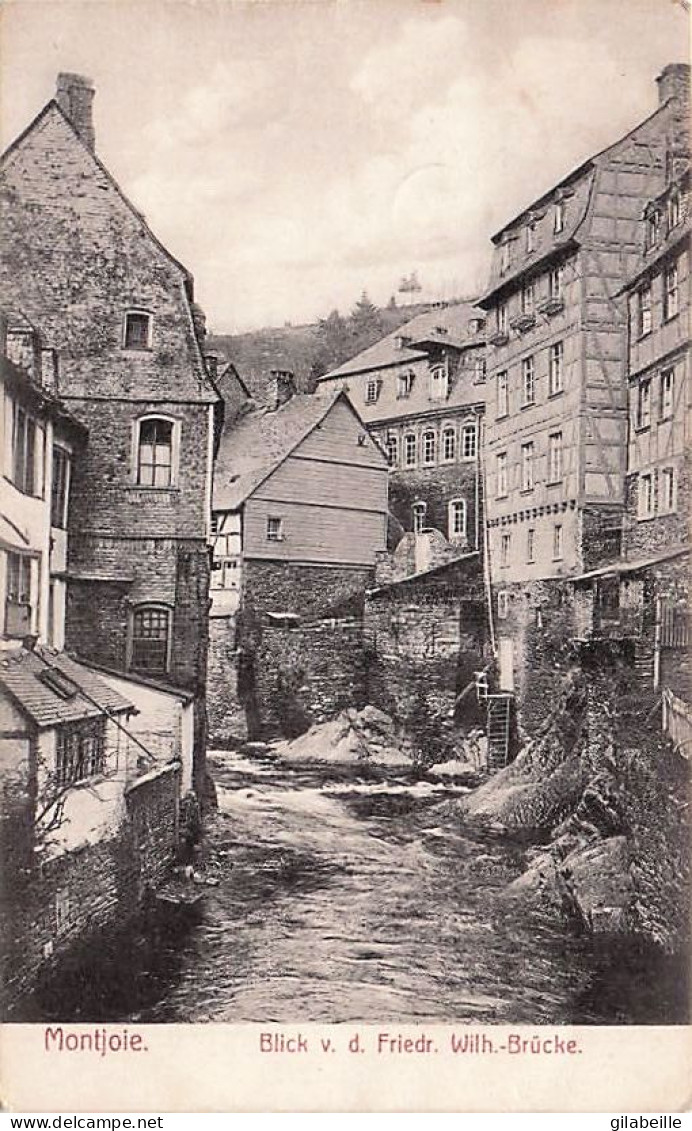 MONSCHAU - MONTJOIE - Blick V D Fiedr. Wilh Brucke - 1909 - Monschau
