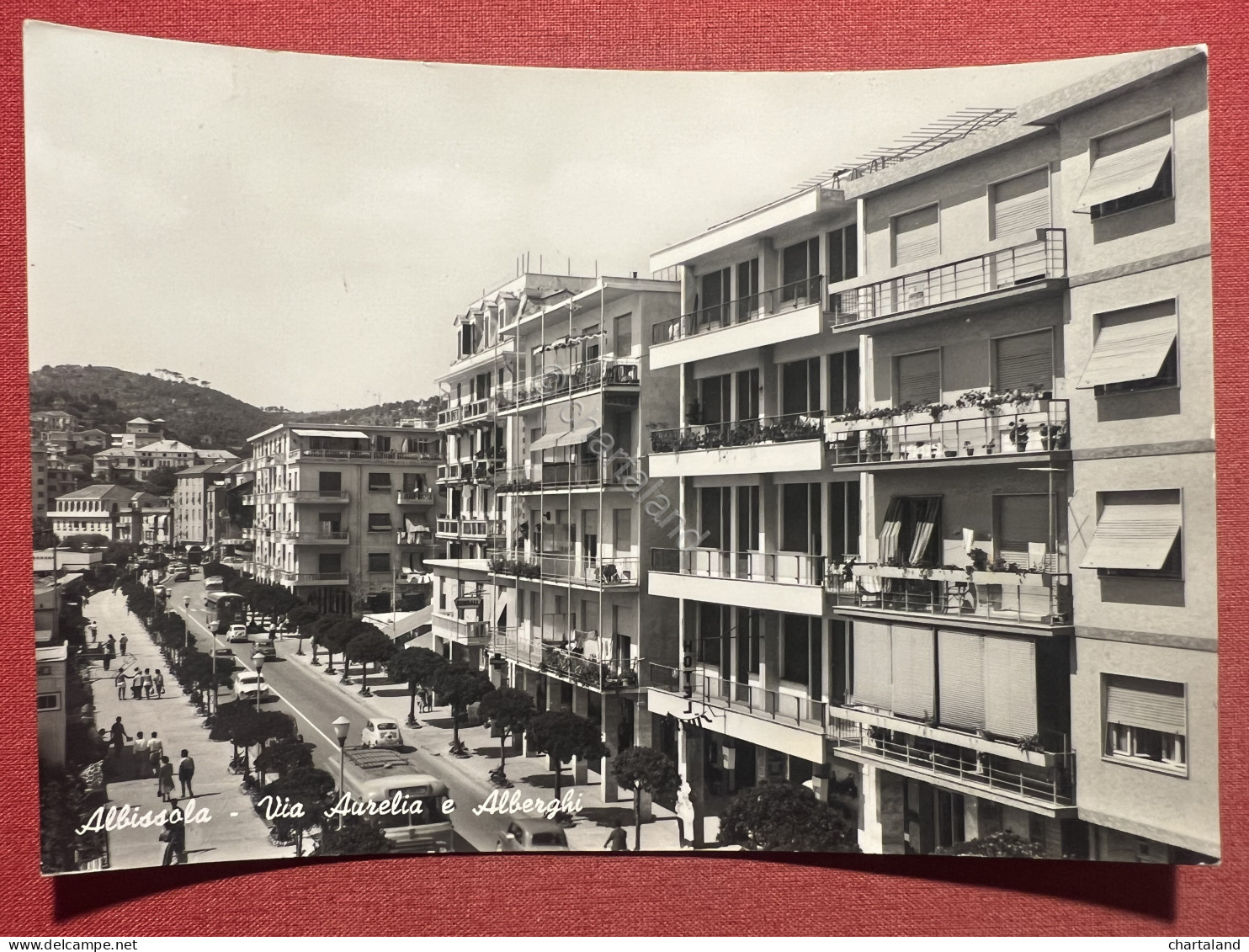 Cartolina - Albissola ( Savona ) - Via Aurelia E Alberghi - 1960 - Savona