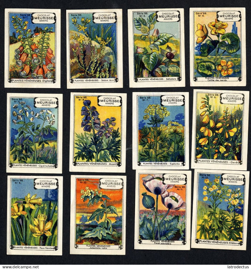 Meurisse - Ca 1930 - 96 - Plantes Veneneuses, Poisonous Plants - Full Serie - Altri & Non Classificati