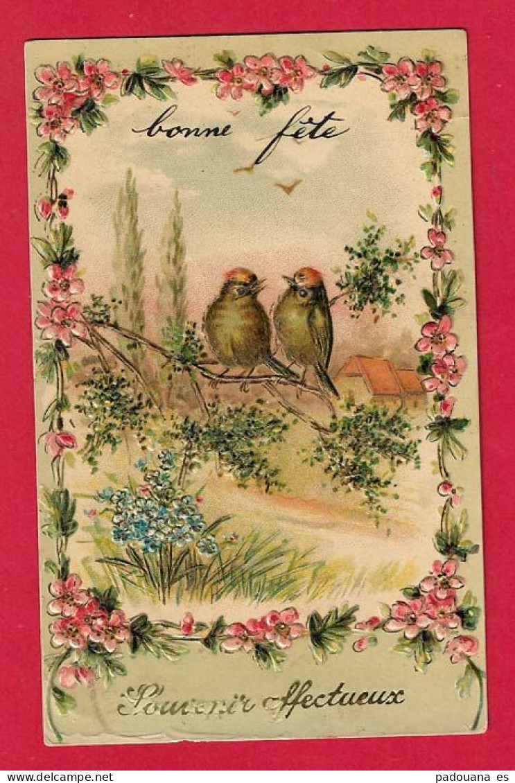X8 FANTAISIES OISEAU OISEAUX ROITELETS BAVARDAGE CARTE GAUFREE SOUVENIR EN 1907 - Uccelli