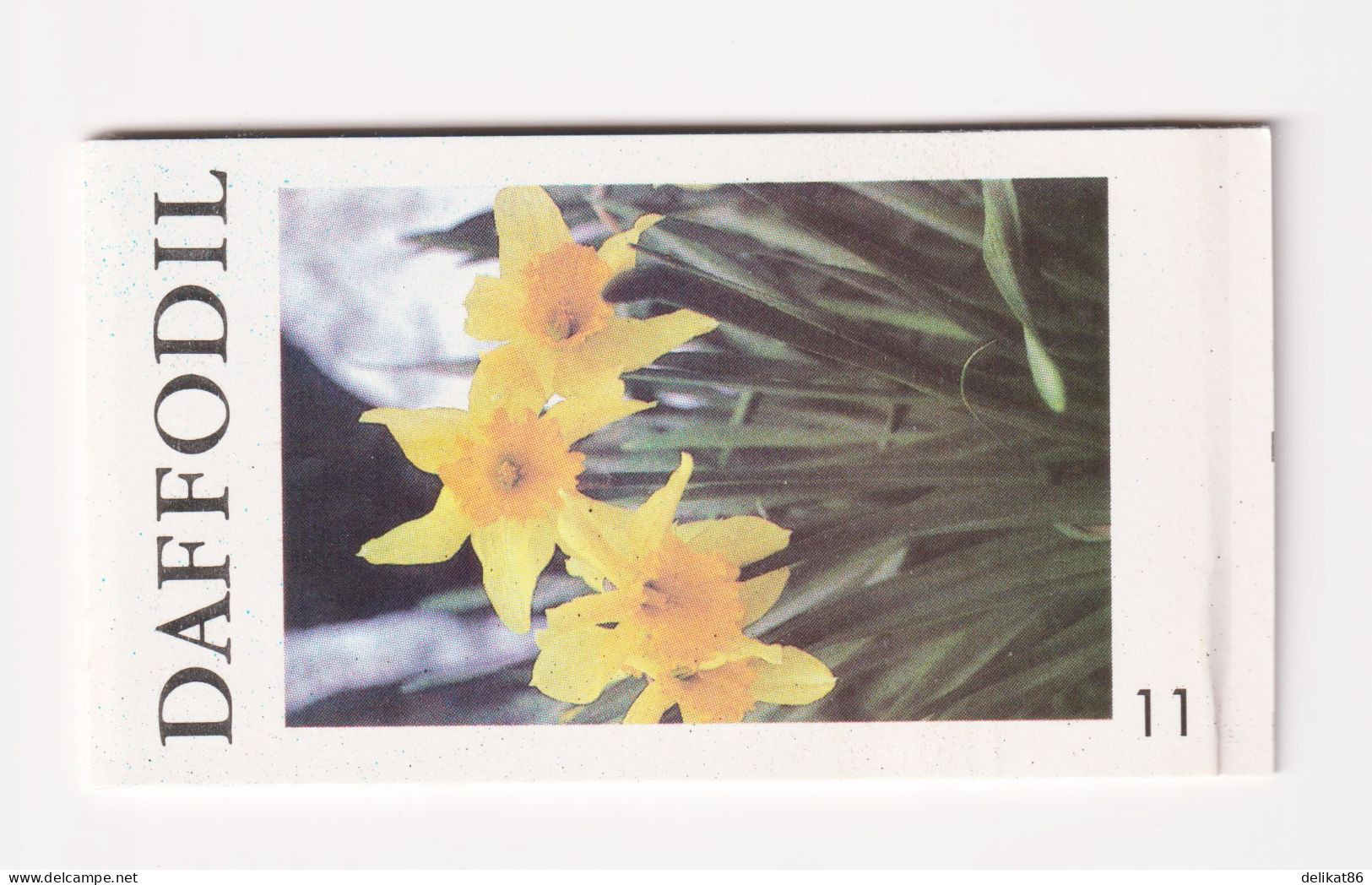 Daffodil Test Booklet, Test Stamp, Specimen TDB 41 Probedruck 1990 - Essais, Réimpressions & Specimens