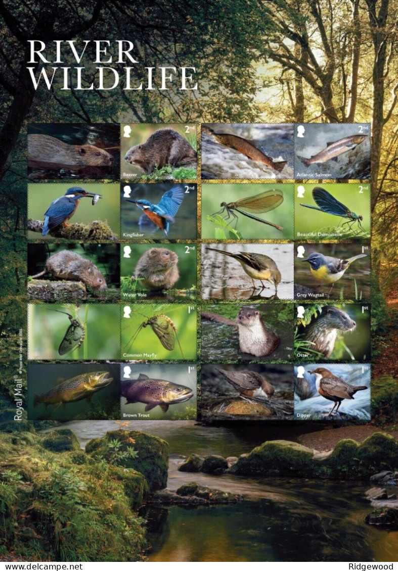 GB 2023 River Wildlife Smilers/Collector Sheet : GS-155/LS-153 - Timbres Personnalisés