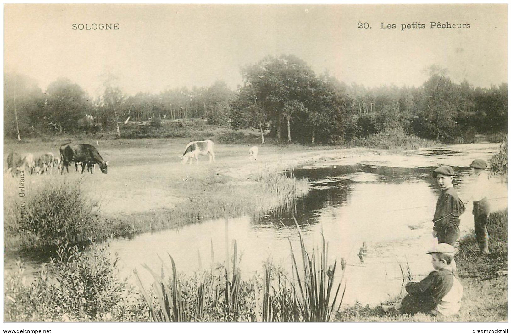 41 SOLOGNE. Les Petits Pêcheurs Et Vaches - Andere & Zonder Classificatie