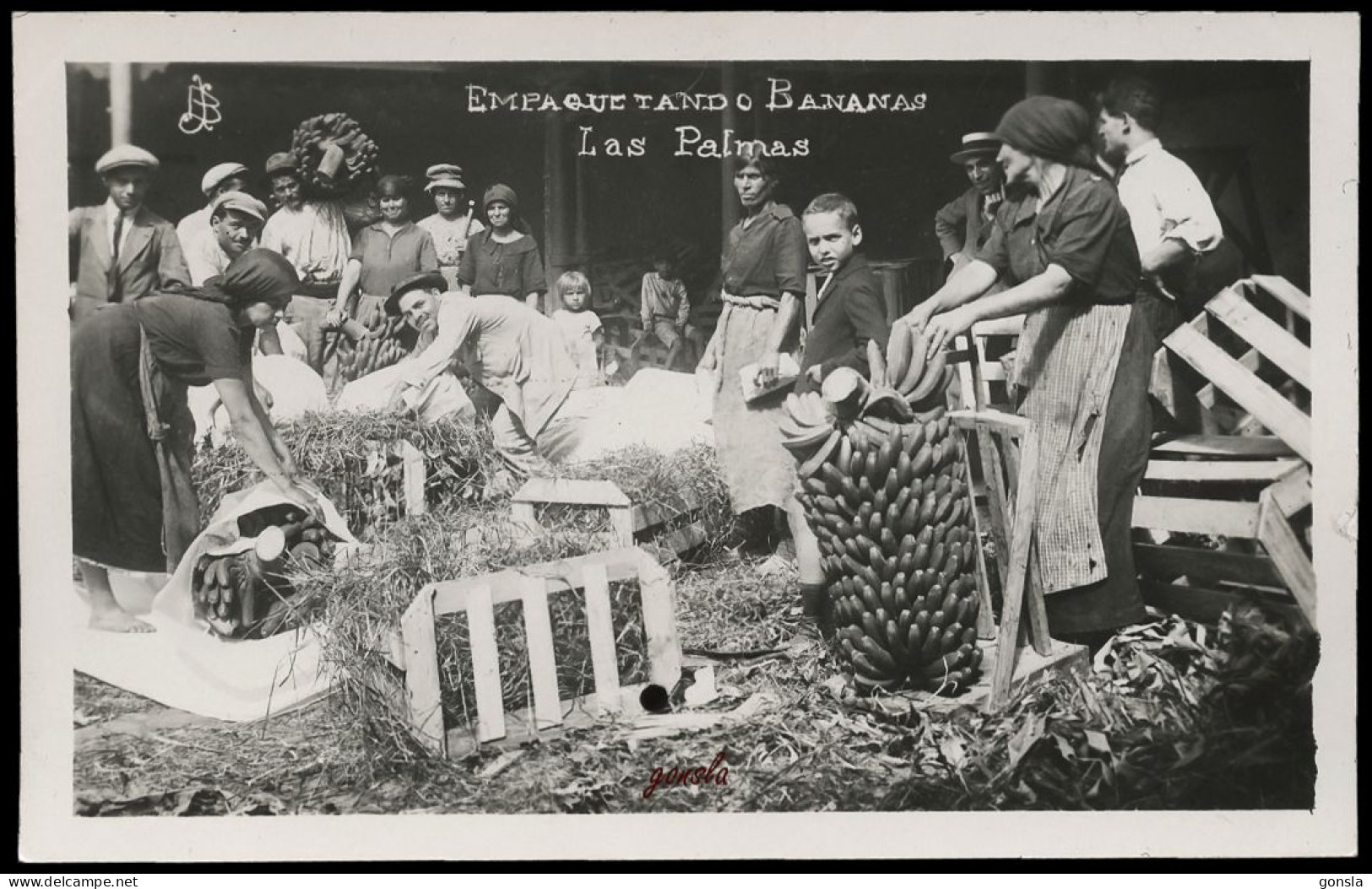 LAS PALMAS 1930 "Empaquetando Bananas" - La Palma