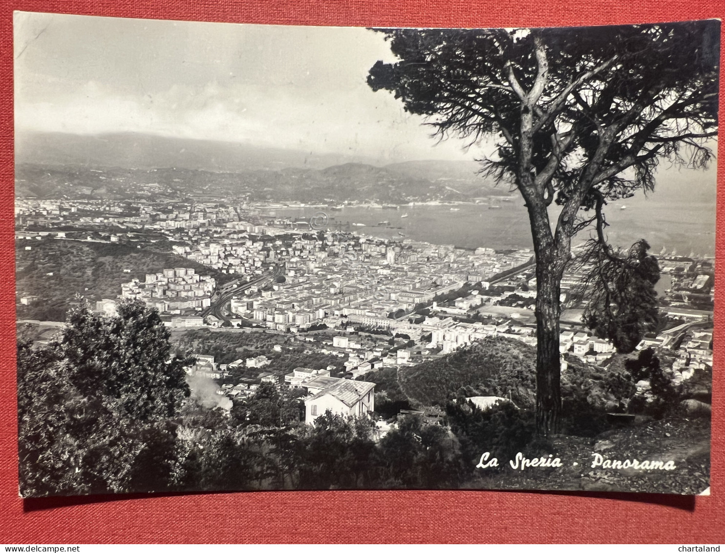 Cartolina - La Spezia - Panorama - 1955 Ca. - La Spezia