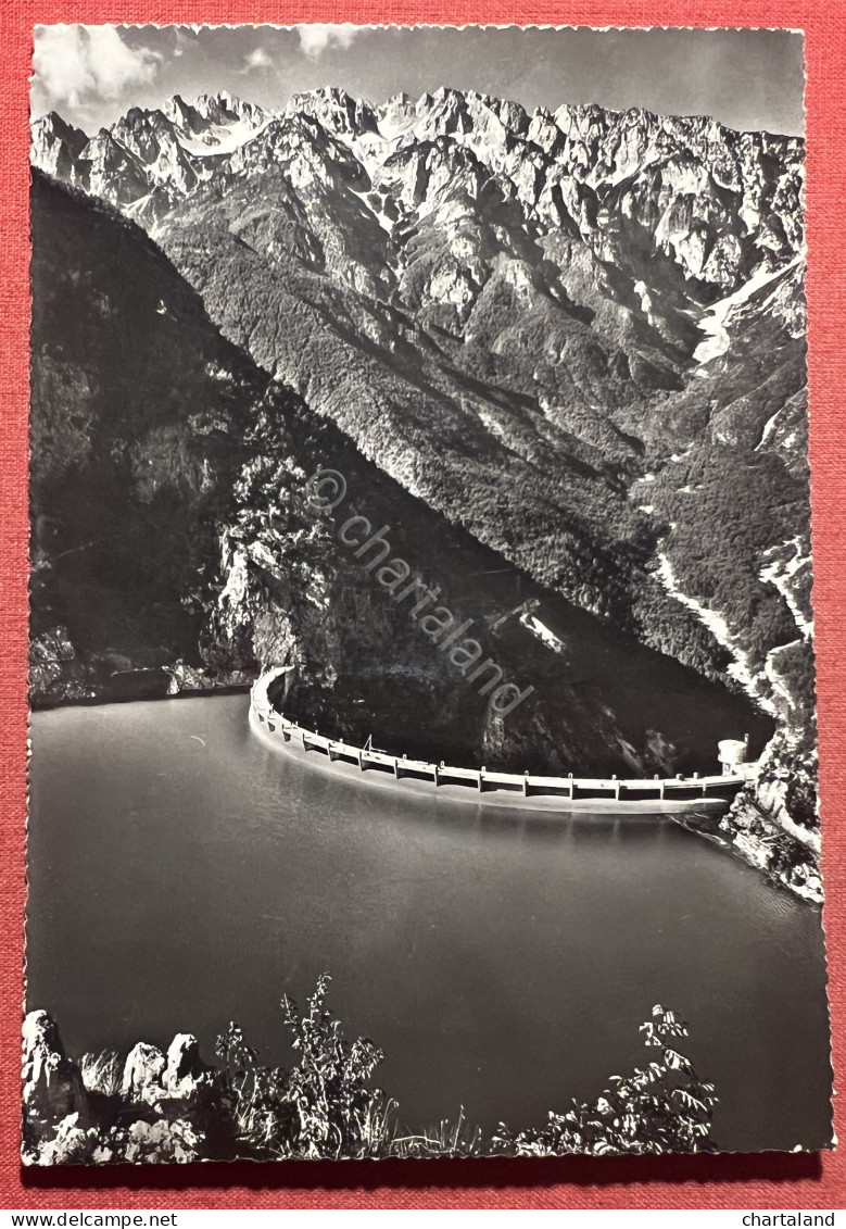 Cartolina - La Diga Di Speccheri Di Vallarsa ( Trento ) - Gruppo Posta - 1959 - Trento