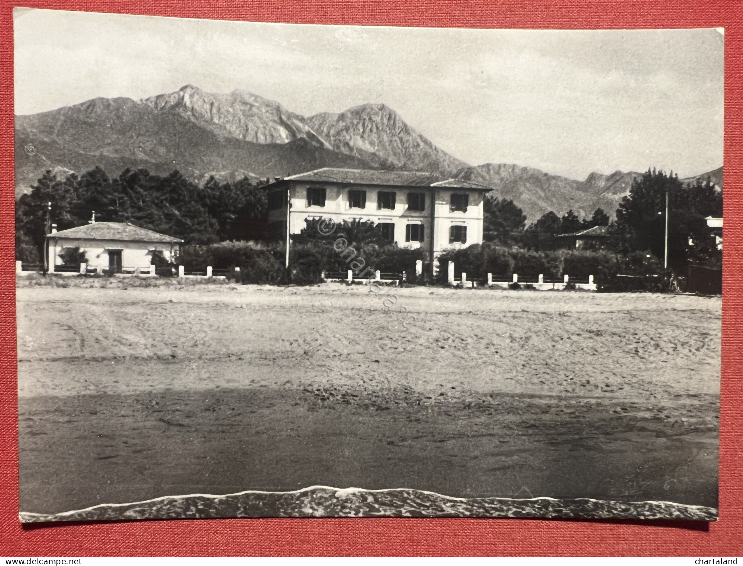 Cartolina - Hotel Alpemare - Forte Dei Marmi ( Lecca ) - 1951 - Lucca