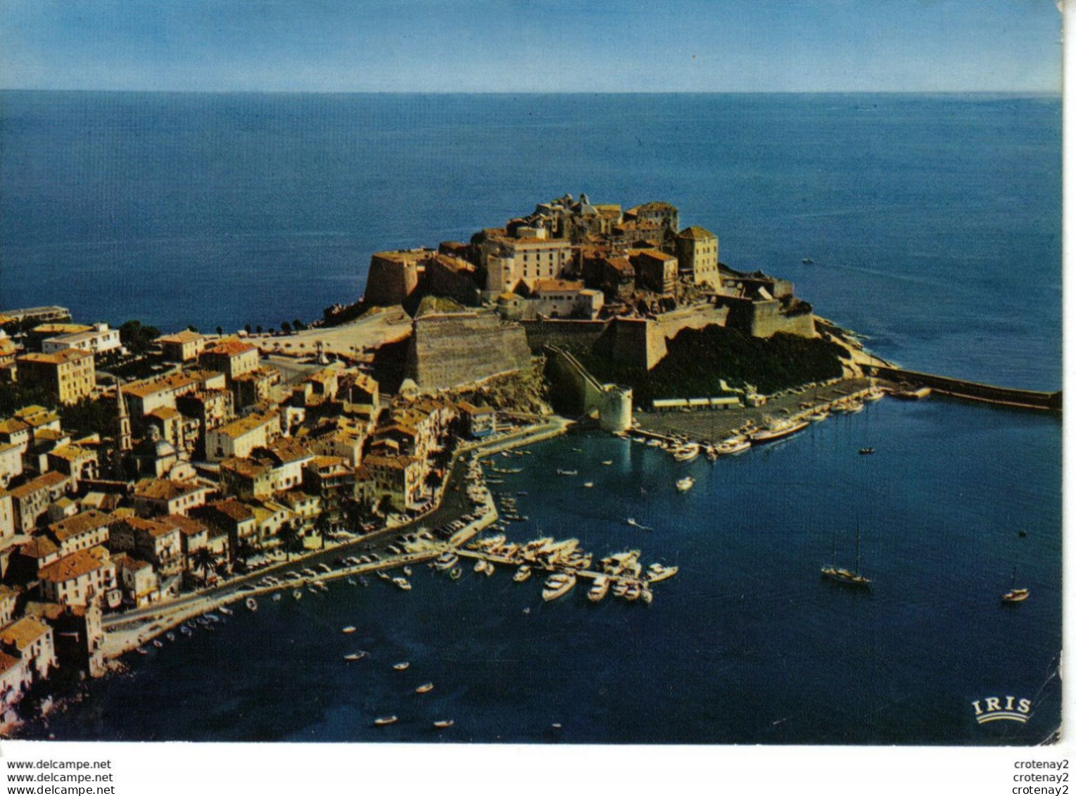 Haute Corse CALVI Vue Partielle De La Ville La Marine Et La Citadelle En 1981 VOIR DOS - Calvi
