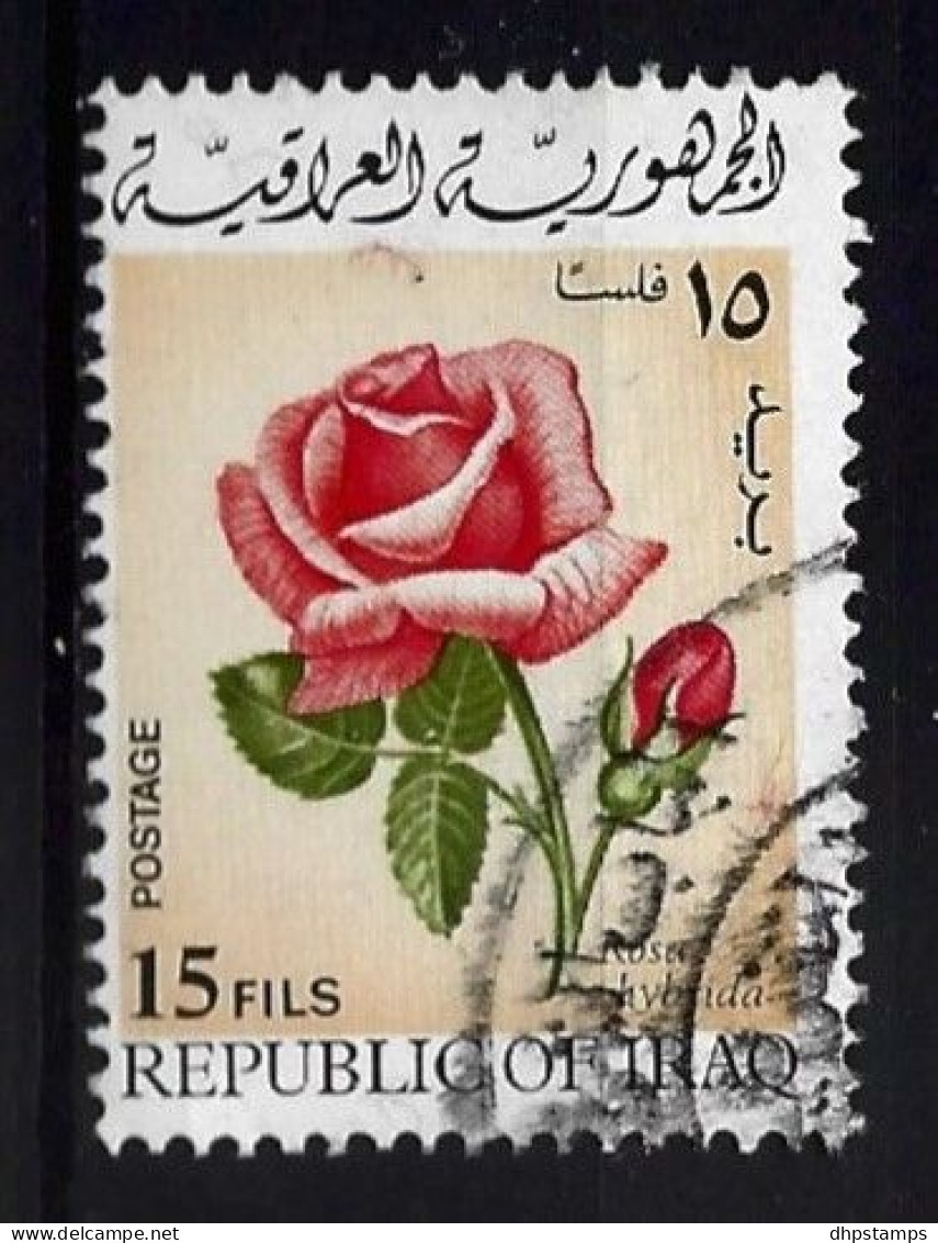 Irak 1970 Flower  Y.T. 563 (0) - Irak