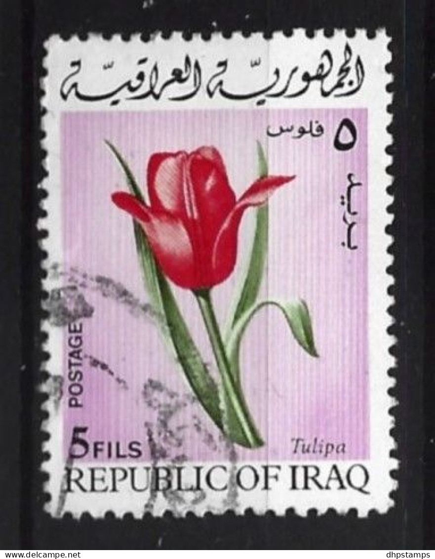 Irak 1970 Flower  Y.T. 561 (0) - Irak