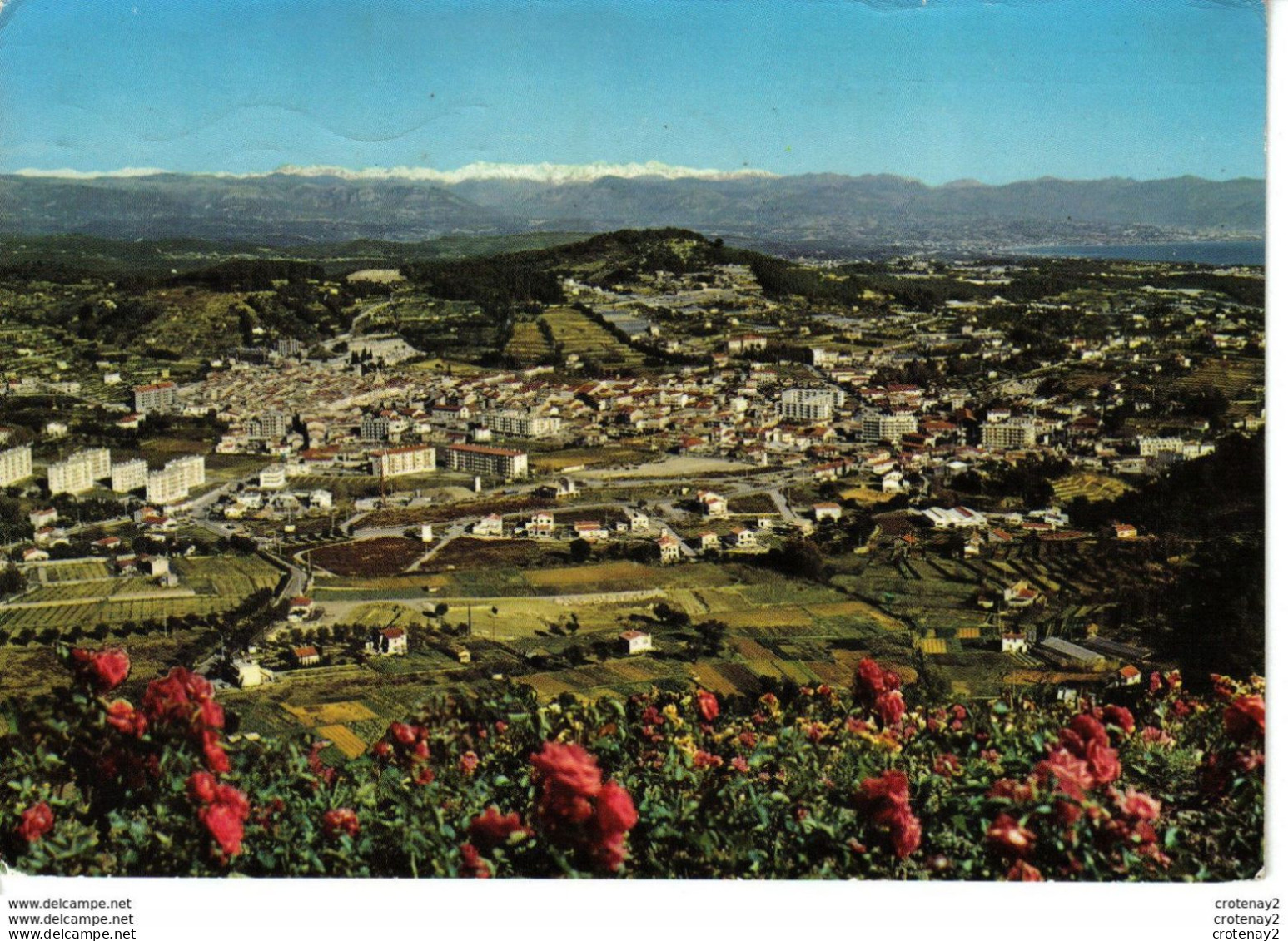 06 VALLAURIS En 1972 Vue Générale Dans Le Fond Les Alpes - Vallauris