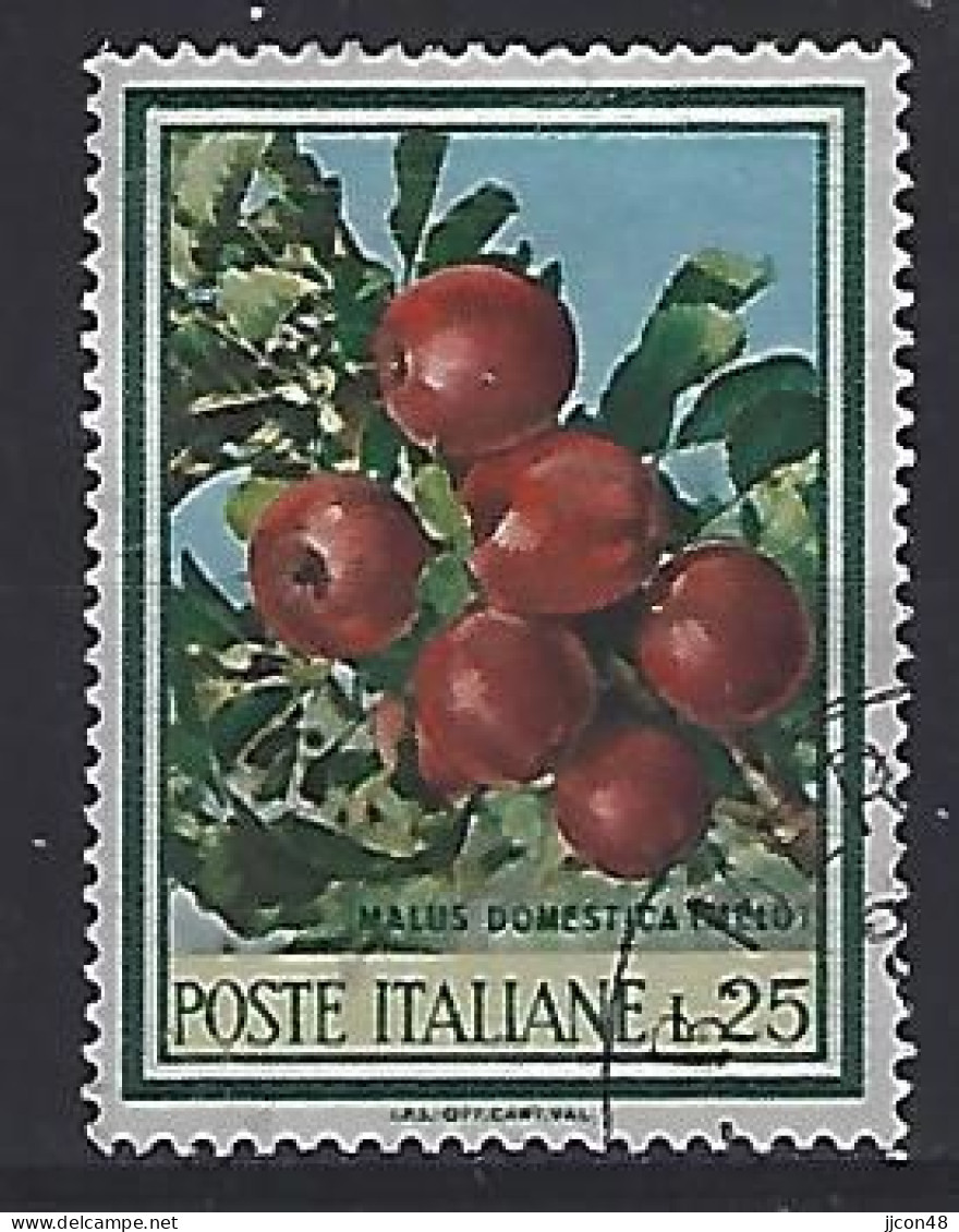 Italy 1967  Flora (o) Mi.1247 - 1961-70: Gebraucht