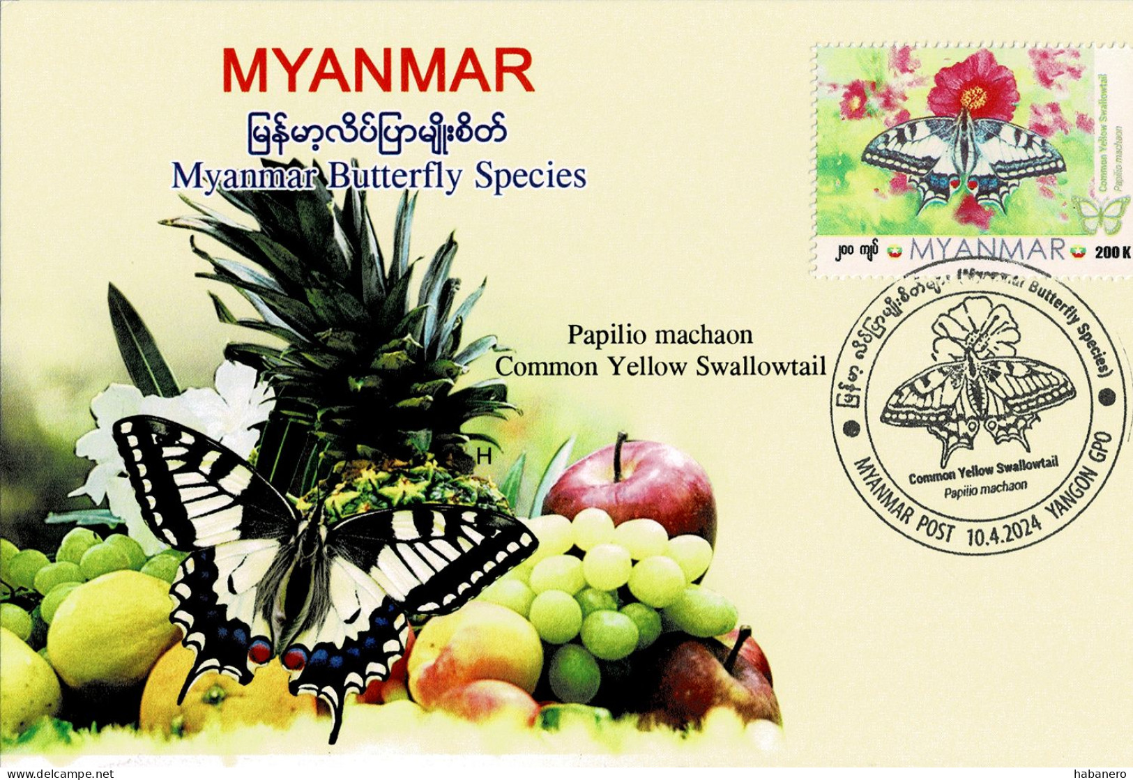 MYANMAR 2024 COMMON YELLOW SWALLOWTAIL BUTTERFLY MAXIMUM CARD ONLY 100 ISSUED - Myanmar (Birmanie 1948-...)