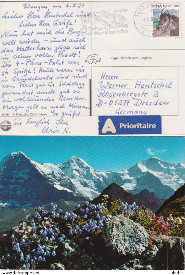 AK  "Eiger Mönch Jungfrau"  Wengen - Dresden         1994 - Lettres & Documents