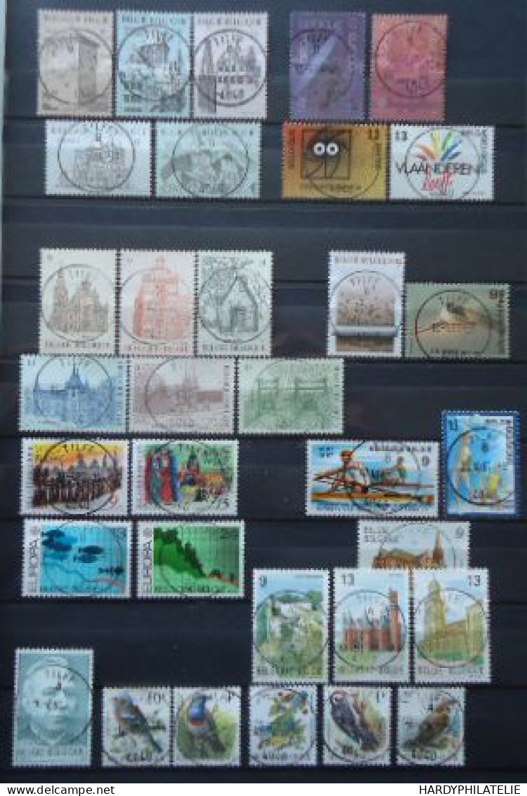 BELGIQUE Lot Oblitéré TILFF - Used Stamps