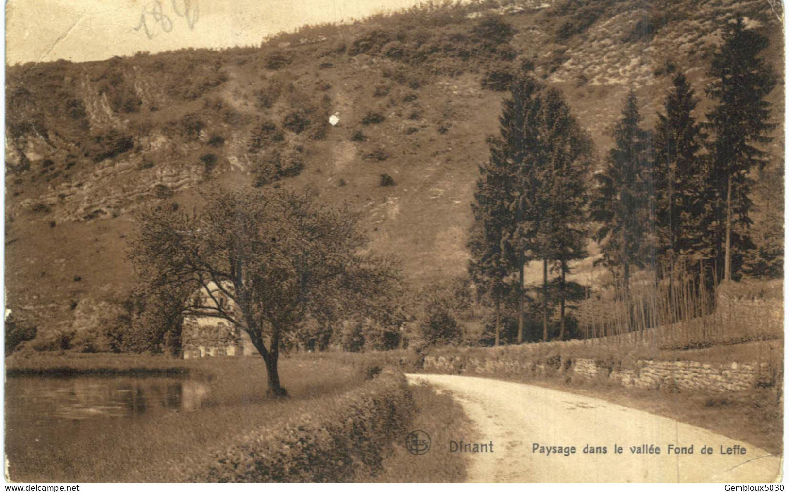 (302)    Dinant   Passage Dans La Vallée Fond De Leffe - Dinant