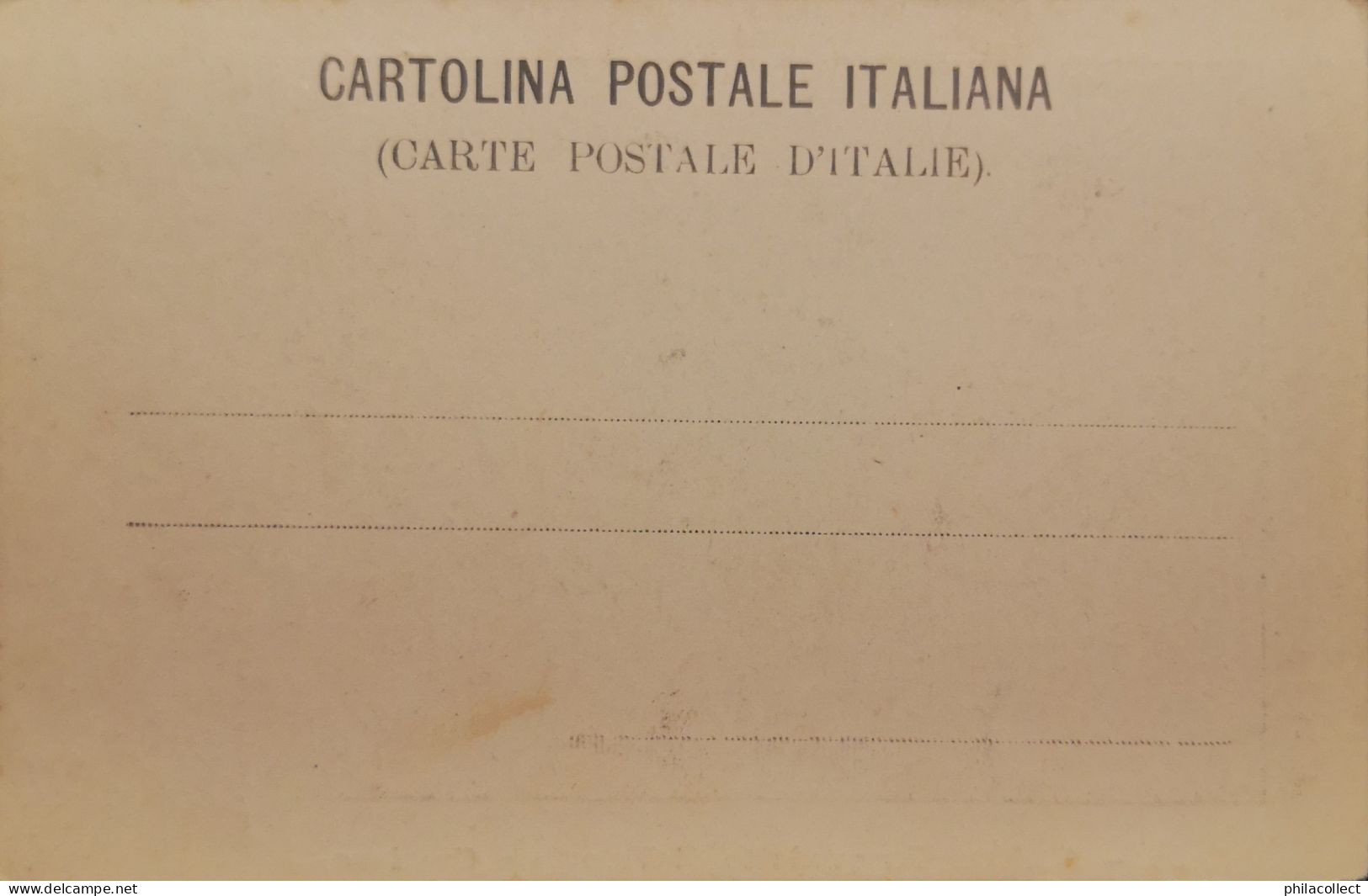 Italy - Piemonte // Susa (Torino) Arci Dell Acquedotto Di Valente E Graziano Ca 1899 - Other & Unclassified