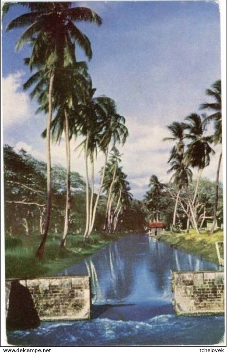 (99). Jamaique Jamaica 4 Cp - Giamaica