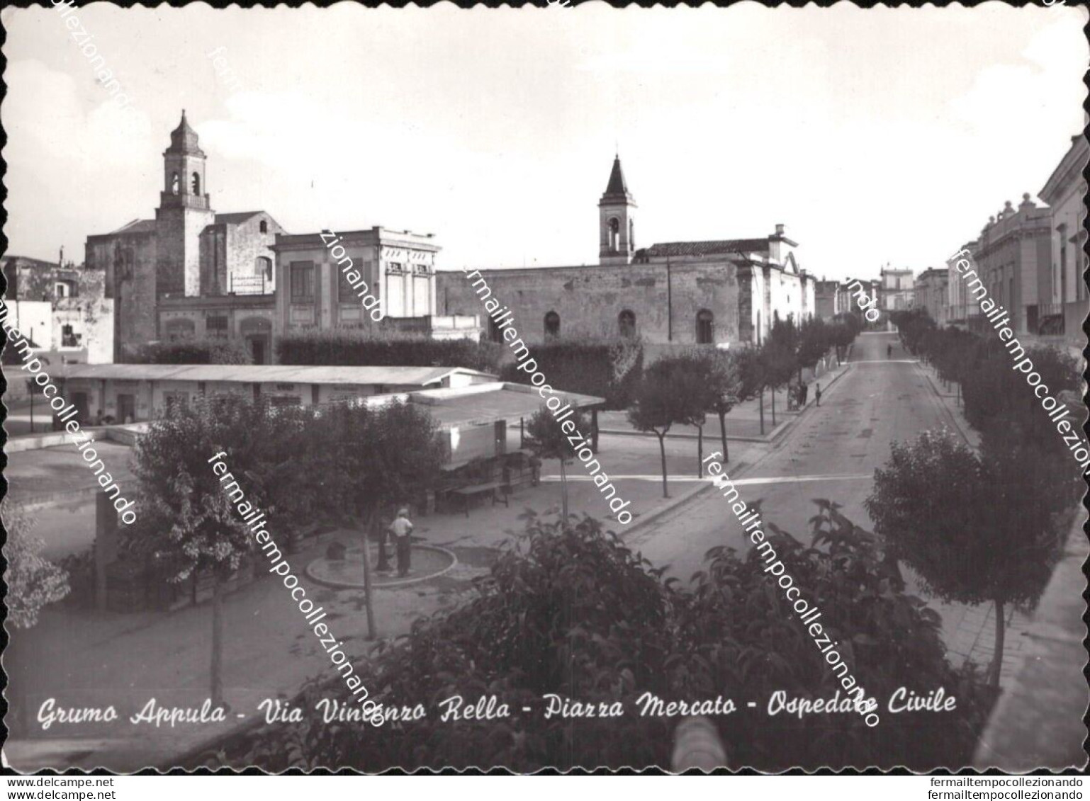 Af870 Cartolina Grumo Appula Via Vincenzo Rella Piazza Mercato Ospedale Bari - Bari