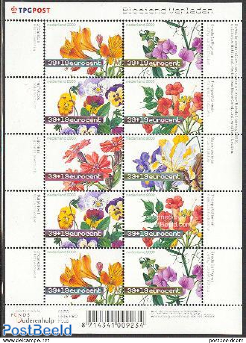 Netherlands 2003 Summer, Flowers M/s, Mint NH, Nature - Flowers & Plants - Nuovi