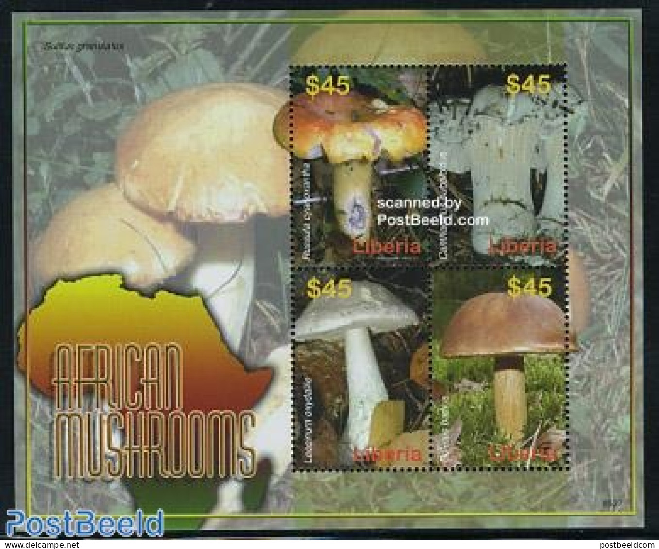 Liberia 2006 Mushrooms 4v M/s, Mint NH, Nature - Mushrooms - Champignons
