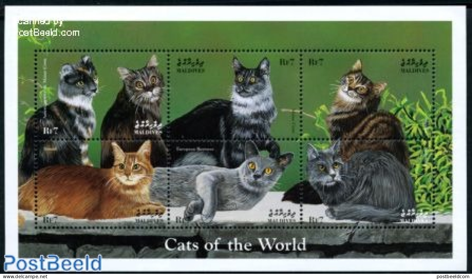 Maldives 1998 Cats 6v M/s, Mint NH, Nature - Cats - Maldives (1965-...)