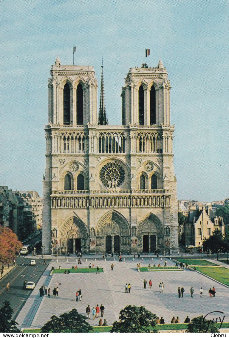 75, Paris, La Place Du Parvis Notre Dame - Notre Dame De Paris