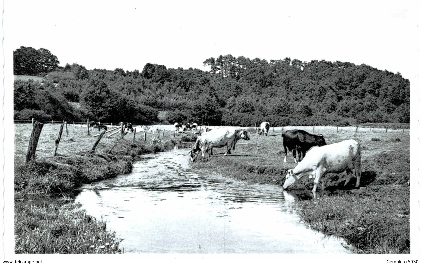 (361) Gedinne  Vue  Champêtre - Gedinne