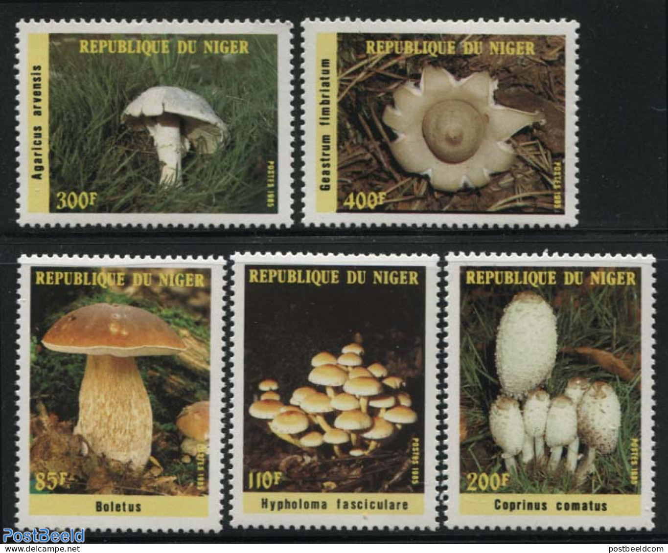 Niger 1985 Mushrooms 5v, Mint NH, Nature - Mushrooms - Pilze