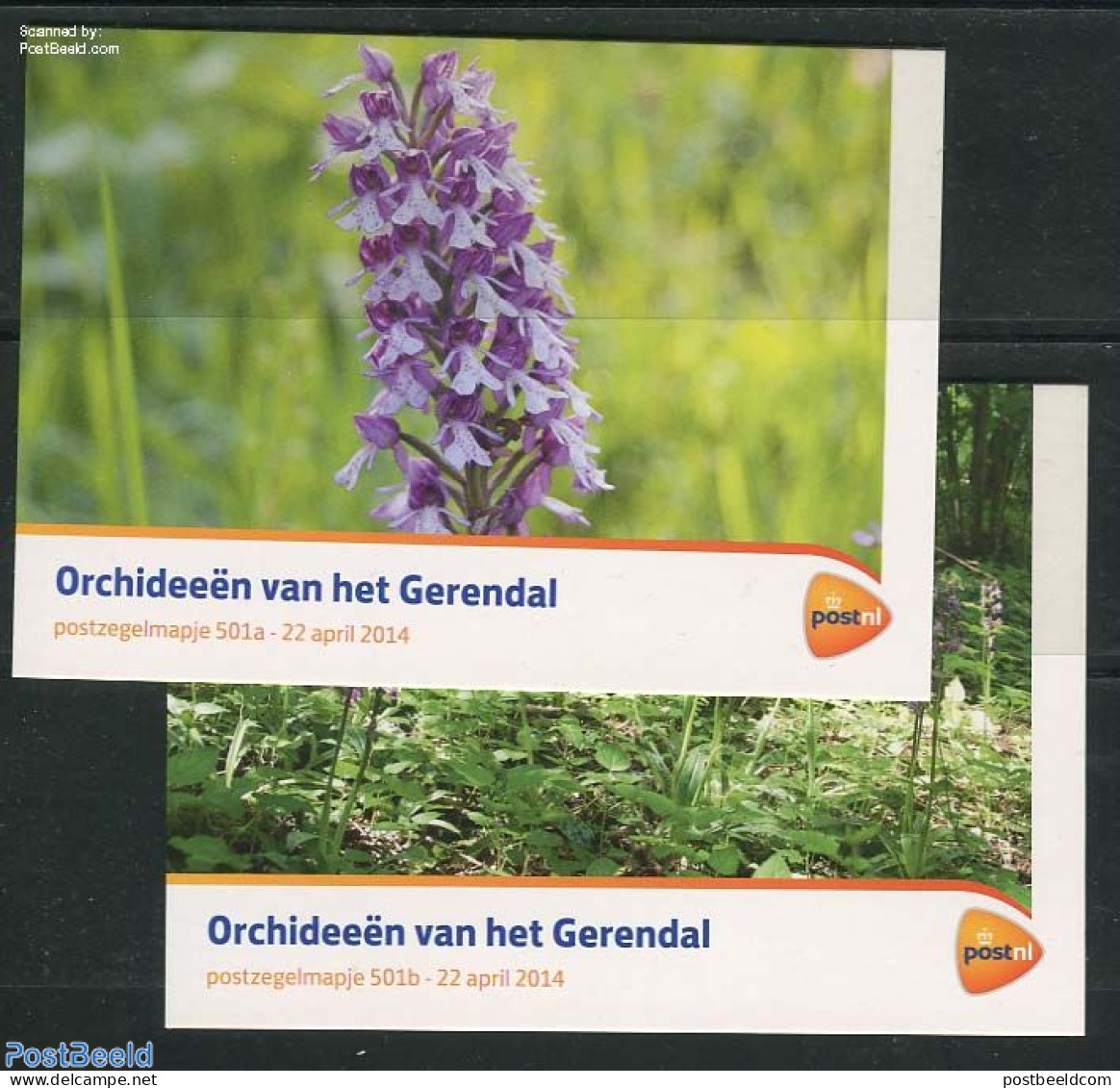 Netherlands 2014 Orchids From Gerendal, Presentation Pack 501a+b, Mint NH, Nature - Flowers & Plants - Orchids - Neufs