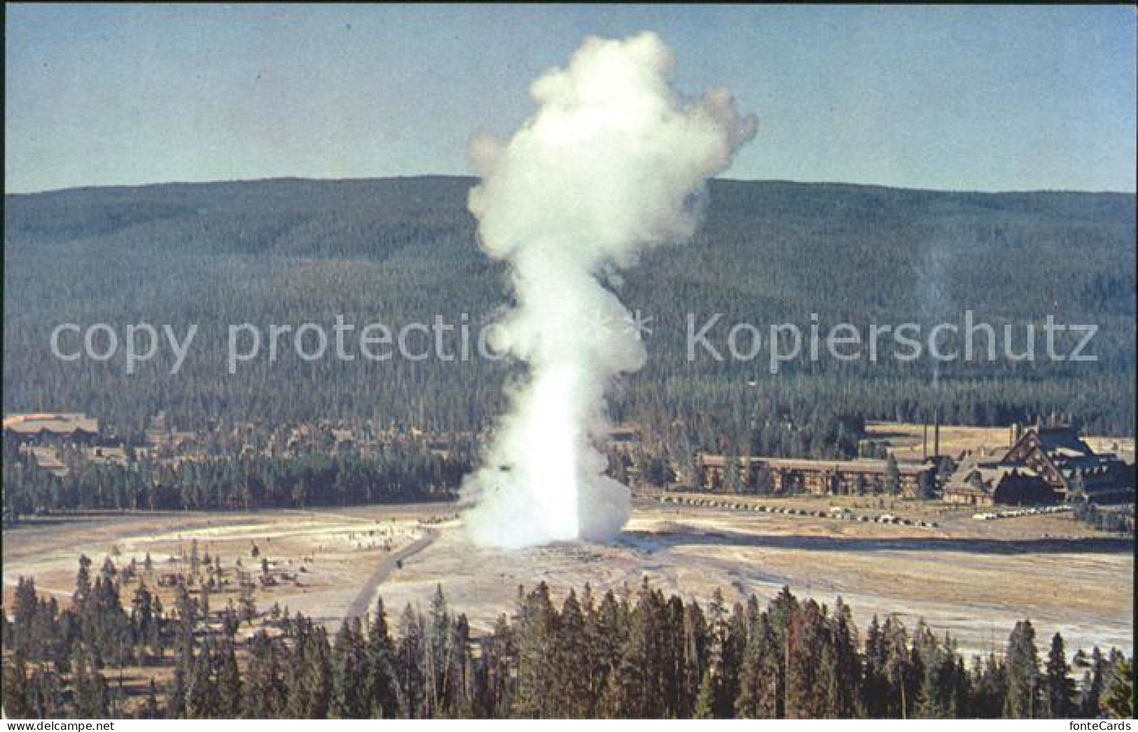 11699256 Geyser Old Faithful Geyser Observation Point Yellowstone National Park  - Sonstige & Ohne Zuordnung