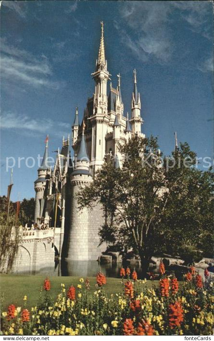 11699228 Disney_World Cinderella Castle  - Altri & Non Classificati