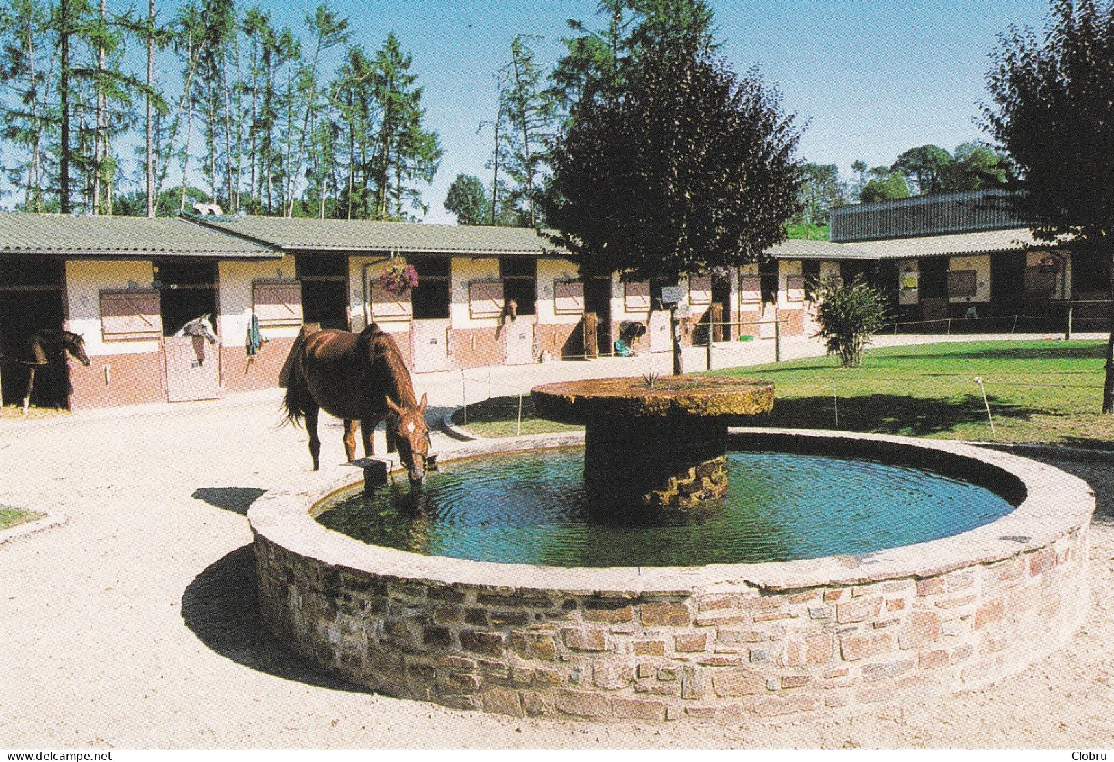 87, Ambazac, Le Centre Equestre - Ambazac