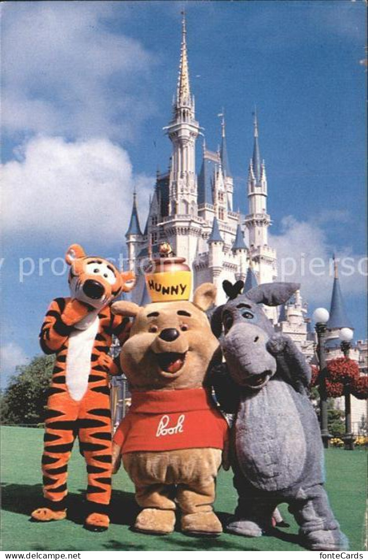 11698911 Walt_Disney_World Winnie Pooh Tigger I-Ah Cinderella Castle - Autres & Non Classés