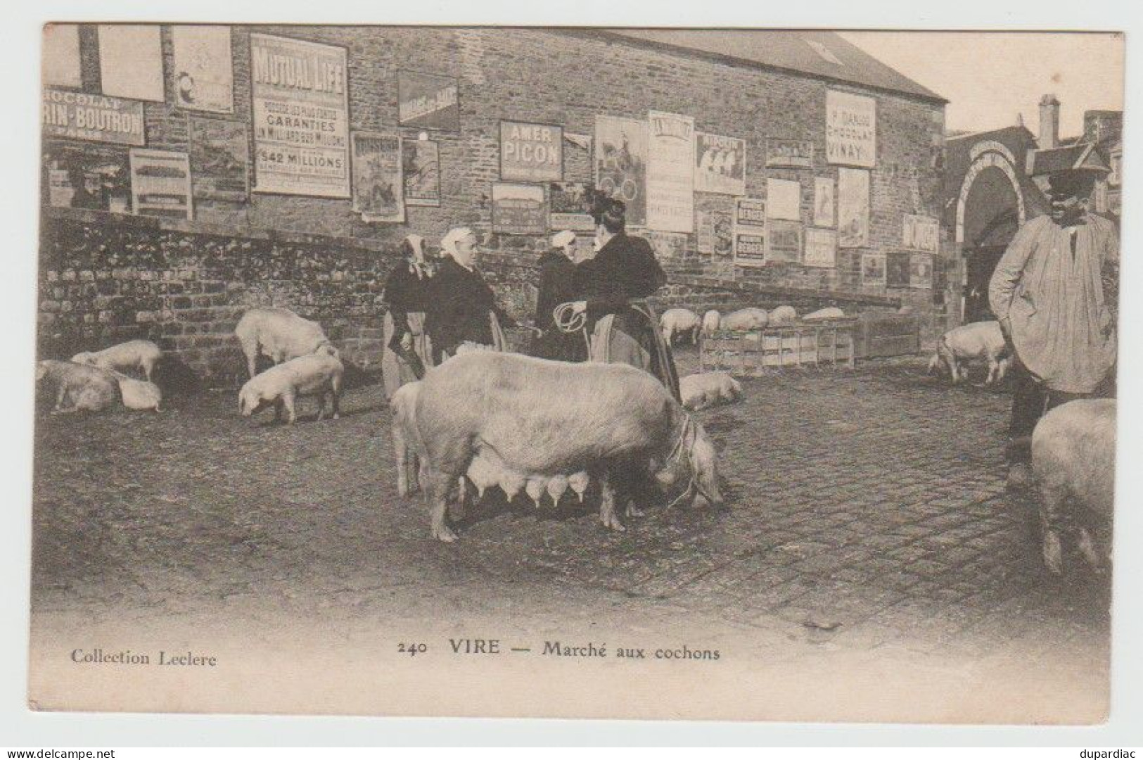 14 - Calvados /  VIRE -- Marché Aux Cochons. - Vire